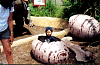 sitting in a dino egg.jpg